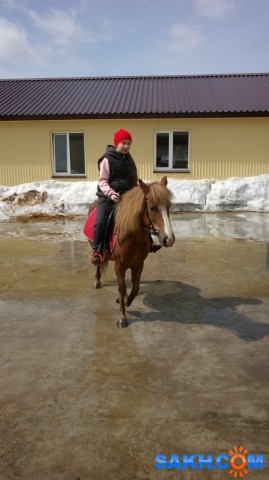 Фото мышка100