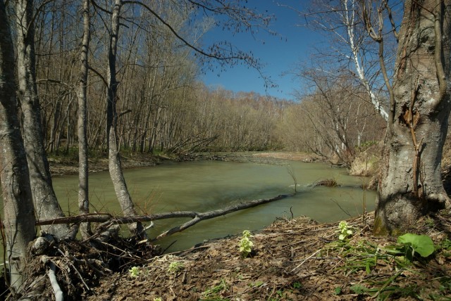 Фото Mikhaylovich
