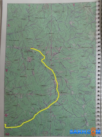 Фото феникс2