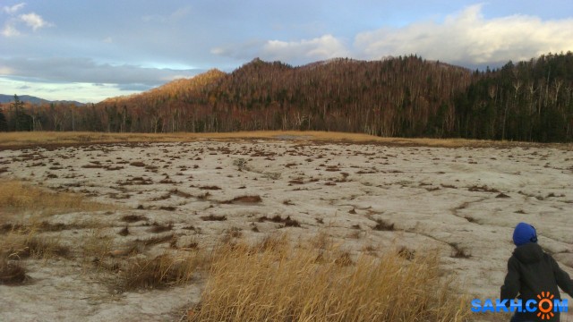 Фото лисичка-сестричка