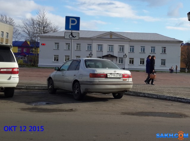 Фото дикаяроза