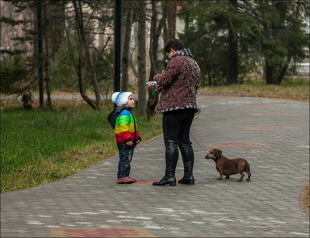 Фото altazet