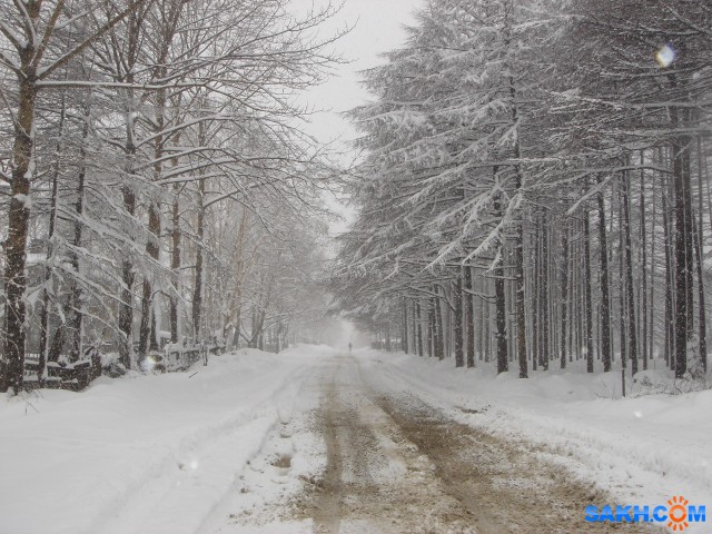 Фото Николай_Рычков