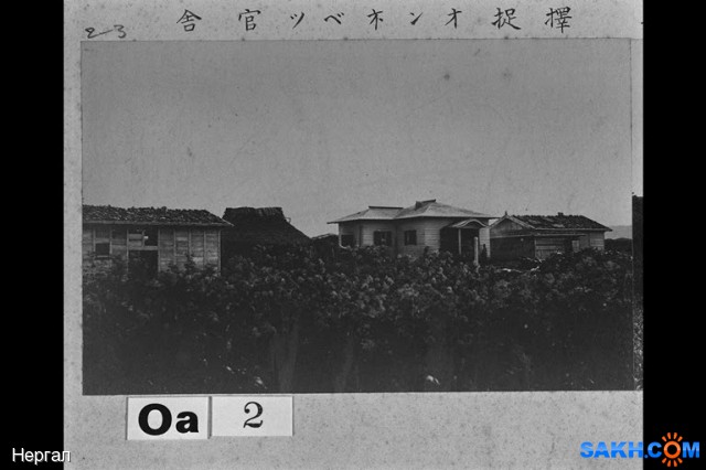 Фото Нергал