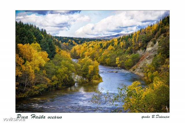 Фото voviksirota