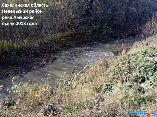 Фото kolya811