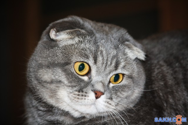 Фото Фрау_Энж