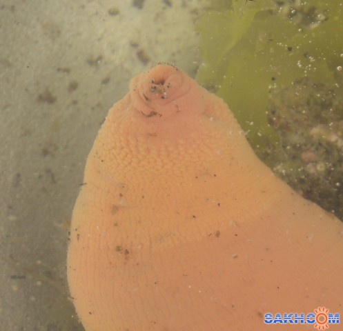 Фото Вячеслав