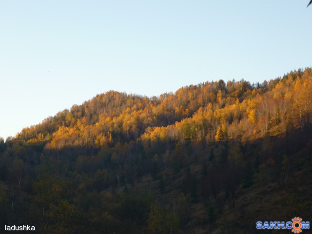 Фото ladushka