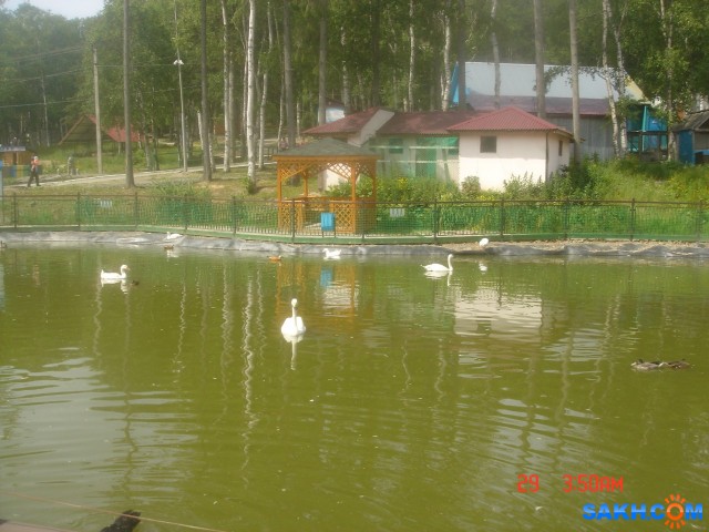 Фото рмушник