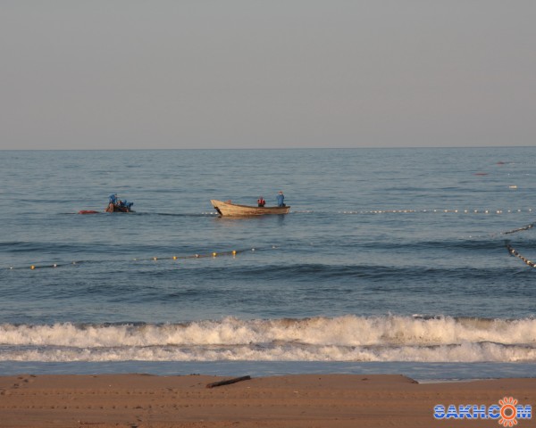 Фото Vitoldovich