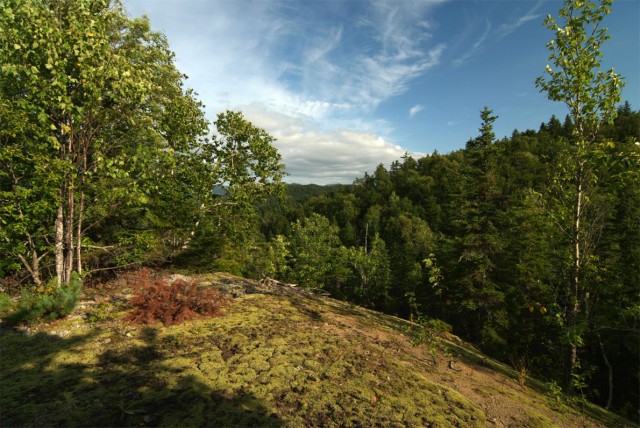 Фото Mikhaylovich
