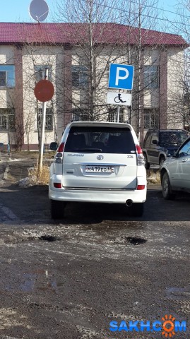 Фото дикаяроза