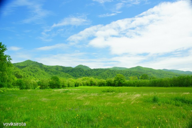 Фото voviksirota