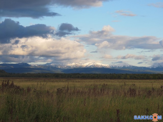 Фото Шуршик