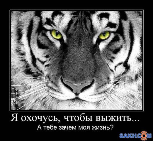 Фото Вольнодумец