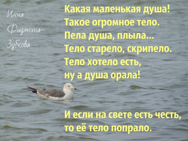 Фото Фидянина-Зубкова