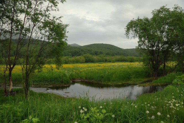 Фото Mikhaylovich