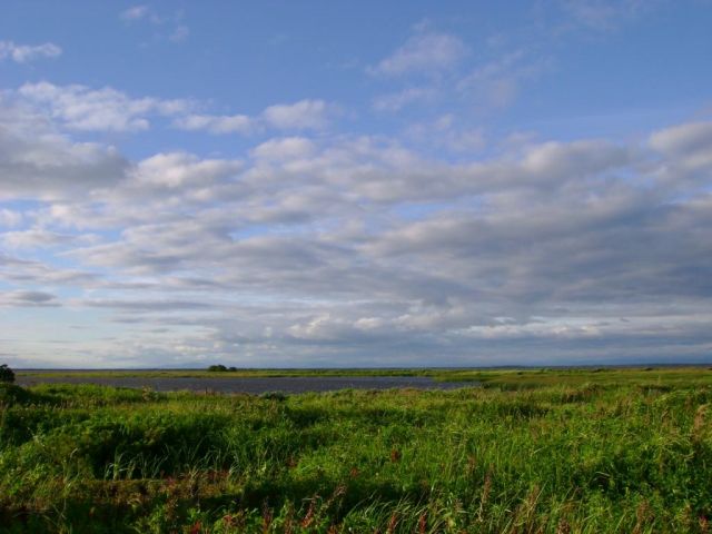 Фото PolenOksana