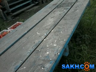 Фото ladushka