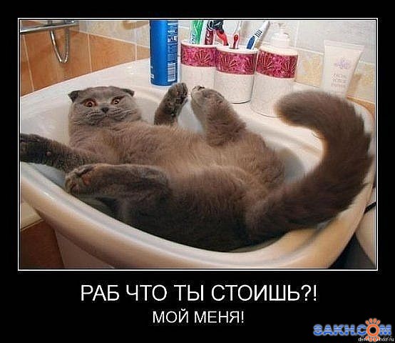 Фото онв83
