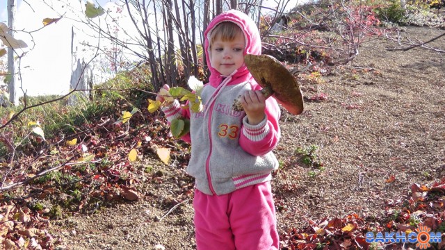 Фото SCRAMBLER75