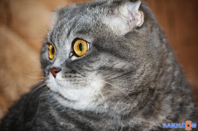 Фото Фрау_Энж