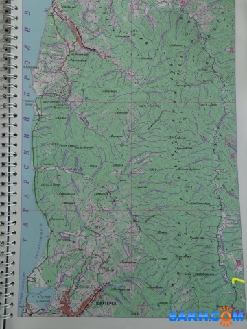 Фото феникс2