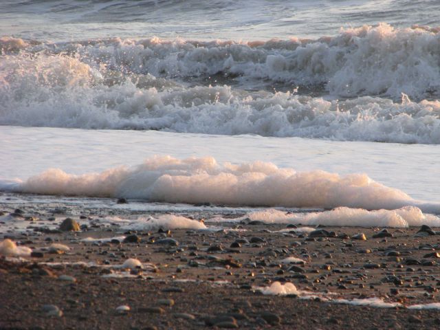 Фото Шуршик