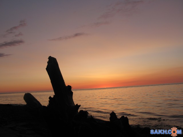 Фото зеленоглазая