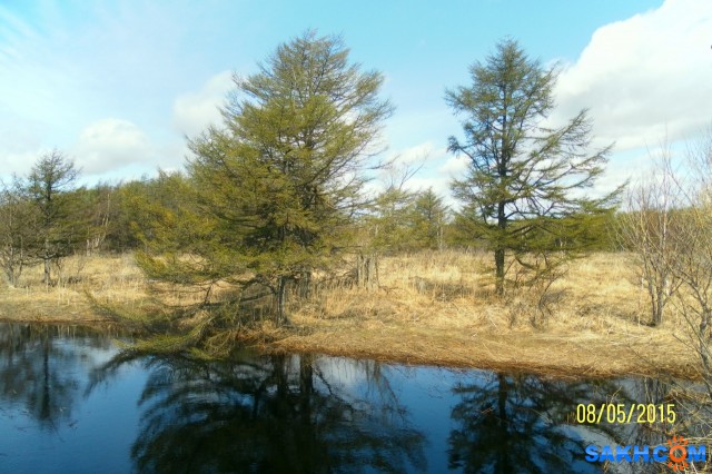 Фото Progress999