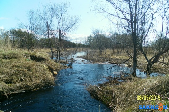 Фото Progress999