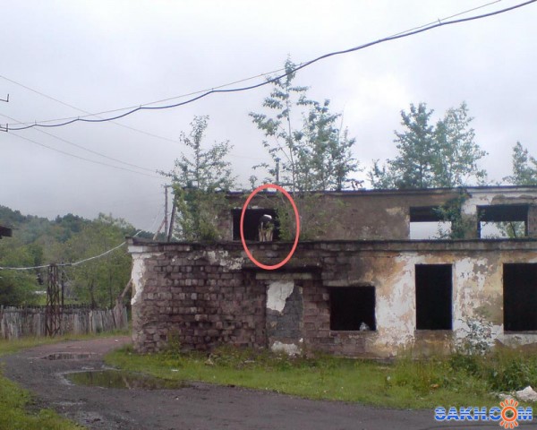 Фото Vitoldovich