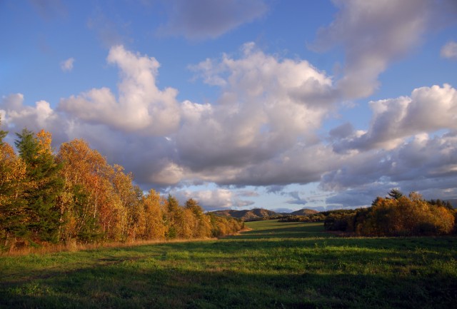 Фото Mikhaylovich