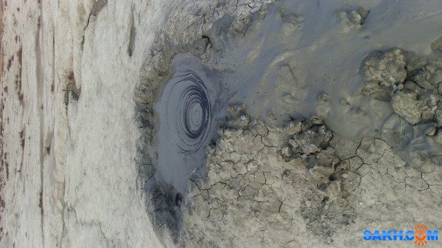 Фото лисичка-сестричка