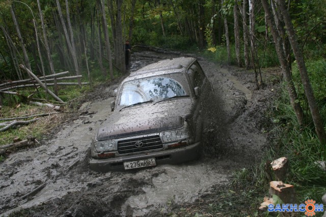 Фото вафлюшечка