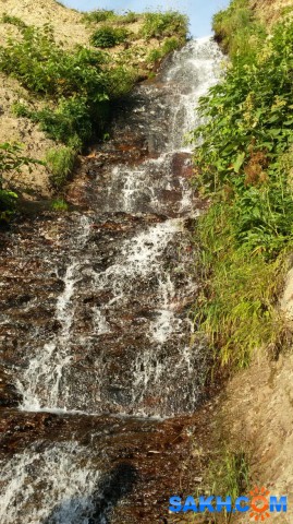Фото sabroe