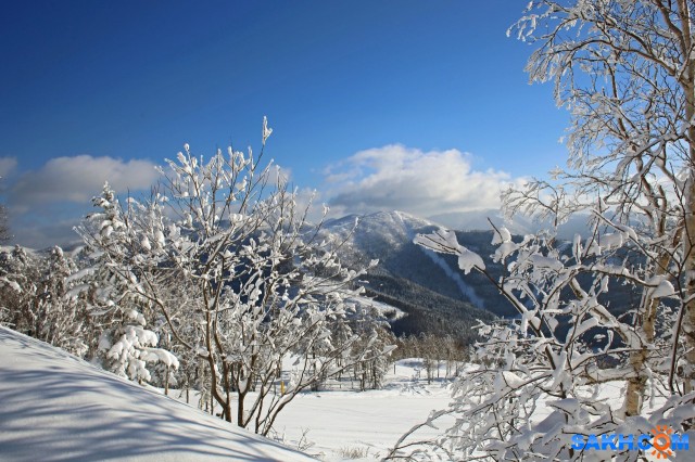 Фото igls