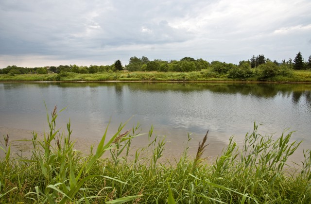 Фото Mikhaylovich