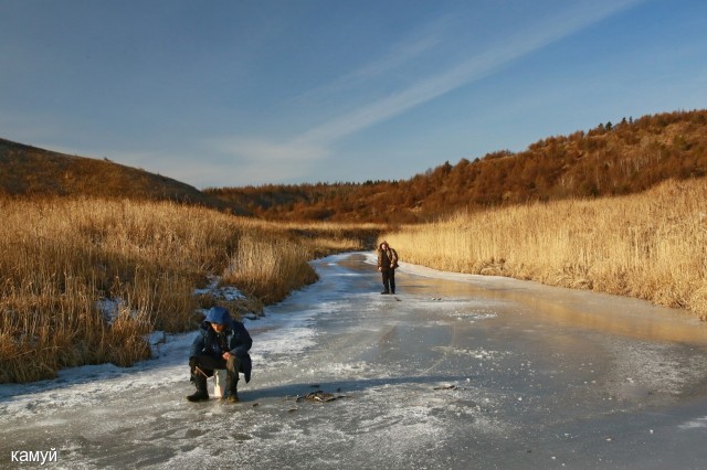 Фото камуй