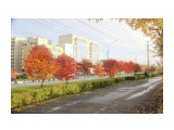 Южный 
90 

Просмотров: 1725 
Комментариев: 0