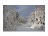 Разное 
058-1 

Просмотров: 1901 
Комментариев: 0